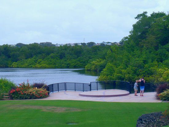 Graeme Hall Naturreservat